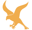 Ex