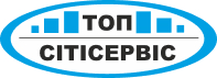 Topsity logo